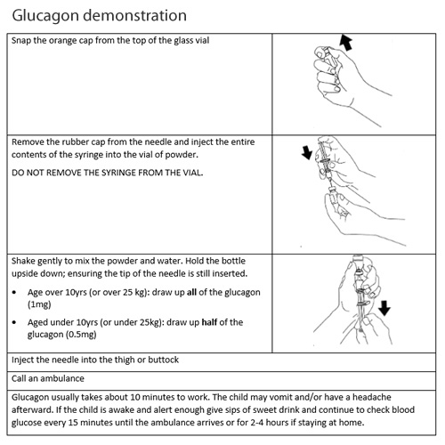 glucagon demo
